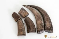 Bellepet Kauhorn Vom Wasserbüffel XXL + Jumbo