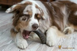 Bellepet Kauhorn Vom Wasserbüffel XXL + Jumbo -Angebote Hundeleinen Store 18001 3589cc2e5066d5 1280x1280