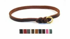 Bellepet - Leichtes Halsband Aus Fettleder Für Große Hunde - Messing