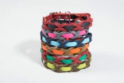 Bellepet Halsband "Braidy Farbrausch" Messing Mit Blauem Leder -Angebote Hundeleinen Store Bellepet Halsband Farbrausch 1280x1280