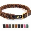 Bellepet Fettleder-Halsband Geflochten "Braidy" Mit Schnalle - Messing -Angebote Hundeleinen Store Bellepet Hundehalsband Braidy Fettleder messing 1280x1280