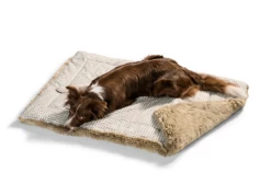 Hunter Hundedecke Astana