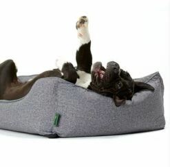 Hunter Hundesofa Boston