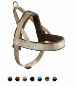 Hunter Norwegergeschirr Racing