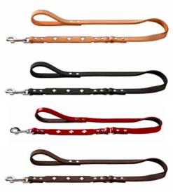 Hunter Führleine Swiss