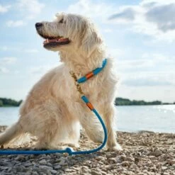 Hunter Verstellbare Führleine Oss Getakelt -Angebote Hundeleinen Store Hunter Hundeleine Halsband Oss 1280x1280