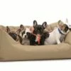 Hunter - Hundesofa Strong & Easy Clean Beige 100x120cm -Angebote Hundeleinen Store IMG 20160114 WA0004569fb059ba69e 1280x1280