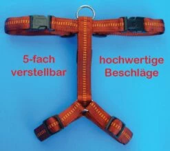 Koch Nylon Hundegeschirr
