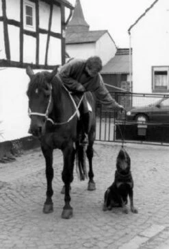 Merothische Reiterleine -Angebote Hundeleinen Store Merothische Reiterleine 256702a3ba868f 1280x1280