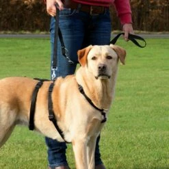 Trixie Sicherheits Geschirr