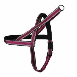 Norwegergeschirr Easy Click Muster Passend Zu Feltmann Kreuzgeschirren -Angebote Hundeleinen Store a557a1e9f96714c 1280x1280