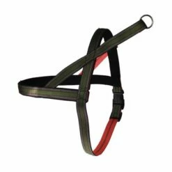 Norwegergeschirr Easy Click Muster Passend Zu Feltmann Kreuzgeschirren -Angebote Hundeleinen Store a757a1e9faa53bc 1280x1280