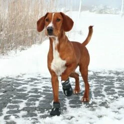 Trixie - Pfotenschutz / Hundeschuh Walker Active -Angebote Hundeleinen Store actike356702faee2d5a 1280x1280