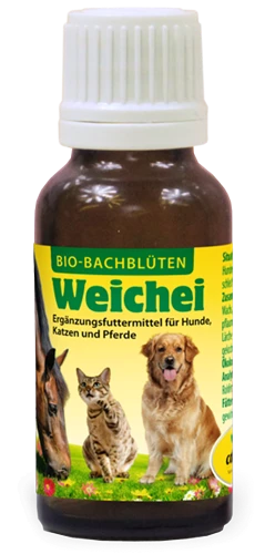 CdVet Bachblüten "Weichei" 20ml