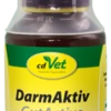 CdVet Darmaktiv -Angebote Hundeleinen Store cdvet darmaktiv hund katze 100ml 425 1567031b8a03e8 1280x1280