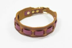 Bellepet Halsband "Pure Farbrausch" Messing Mit Cognacfarbenem Leder