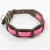 Bellepet Halsband "Pure Farbrausch" Chrom Mit Dunkelbraunem Leder -Angebote Hundeleinen Store farbrausch 8 1280x1280