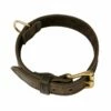 Klin Fettleder Halsband Braun Unterlegt Vollmessing -Angebote Hundeleinen Store fettleder halsbander braun unterlegt vollmessingbe56702ceb6d476 1280x1280