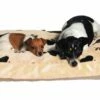 Trixie - Hundekissen Gino -Angebote Hundeleinen Store gino56702ed98e317 1280x1280