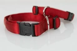 Angebote Hundeleinen Store -Angebote Hundeleinen Store halsbanduni25bd1ca2be28f4 1280x1280