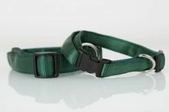 Koch Nylon Hundehalsband Mit Schnalle UNI