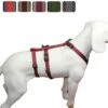 Feltmann - Sicherheitsgeschirr No Exit Muster -Angebote Hundeleinen Store hundegeschirre feltmann NoExit muster uebersicht thumb54e458cb7a75d 1280x1280
