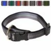 Halsband WienerLock Steckschloss Muster Passend Zu Feltmann Kreuzgeschirren -Angebote Hundeleinen Store hundehalsband wienerlock steckloss muster silber thumb 1280x1280