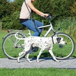 Trixie - Fahrrad- Und Joggingleine