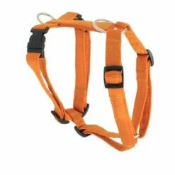 Koch Nylon Hundegeschirr UNI -Angebote Hundeleinen Store koch hundegeschirr xs 15mm gold premium hundegeschirr gepolstert 29606472777889 600x 1280x1280