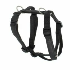Koch Nylon Hundegeschirr UNI -Angebote Hundeleinen Store koch hundegeschirr xs 15mm schwarz premium hundegeschirr gepolstert 29606538150049 600x 1280x1280