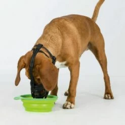 Trixie - Maulkorb Muzzle Flex -Angebote Hundeleinen Store maulkorb hochwertig 1280x1280