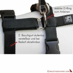 Feltmann - Sicherheitsgeschirr No Exit UNI -Angebote Hundeleinen Store no4589cc1f7a1710 1280x1280