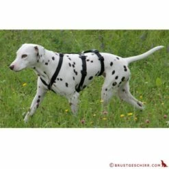 Feltmann - Sicherheitsgeschirr No Exit UNI -Angebote Hundeleinen Store no5589cc1f873ea8 1280x1280