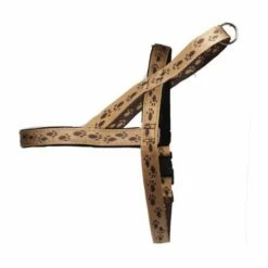 Norwegergeschirr Easy Click Pfötchen Passend Zu Feltmann Kreuzgeschirren -Angebote Hundeleinen Store norp357a1e9dd69d54 1280x1280