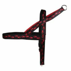 Norwegergeschirr Easy Click Pfötchen Passend Zu Feltmann Kreuzgeschirren -Angebote Hundeleinen Store norp657a1e9df61912 1280x1280