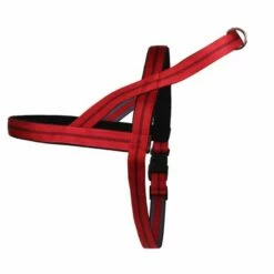 Norwegergeschirr Easy Click Streifen Passend Zu Feltmann Kreuzgeschirren -Angebote Hundeleinen Store nors357a1e9e82bbd9 1280x1280