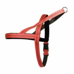 Norwegergeschirr Easy Click Streifen Passend Zu Feltmann Kreuzgeschirren -Angebote Hundeleinen Store nors557a1e9e95e52a 1280x1280