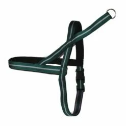 Norwegergeschirr Easy Click Streifen Passend Zu Feltmann Kreuzgeschirren -Angebote Hundeleinen Store nors757a1e9ea8e7df 1280x1280