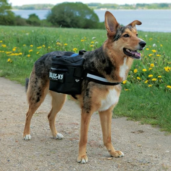 Trixie Julius K9 Packtaschen 4 Trixie Julius K9 Packtaschen – Bild 2