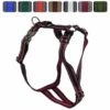 Feltmann - Kreuzgeschirr Premium Muster 1 Feltmann - Kreuzgeschirr Premium Muster -Angebote Hundeleinen Store prem56703373e3611 1280x1280