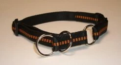 Koch Nylon Hundehalsband Mit Zugstop -Angebote Hundeleinen Store zustopp15bd1c95a2146f 1280x1280